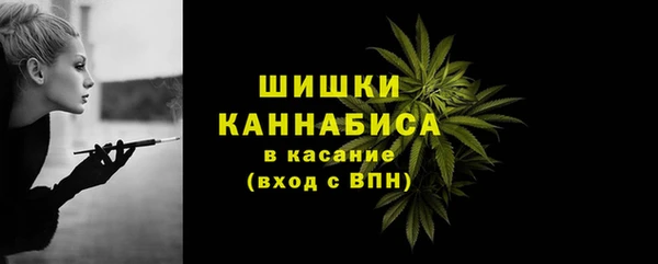 ГАЛЛЮЦИНОГЕННЫЕ ГРИБЫ Баксан