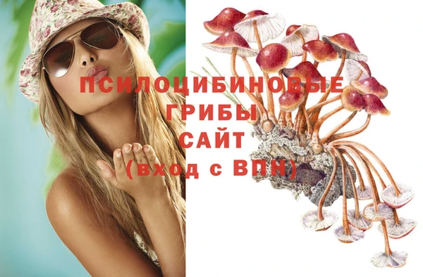 ГАЛЛЮЦИНОГЕННЫЕ ГРИБЫ Баксан