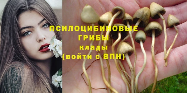 Альфа ПВП Балахна