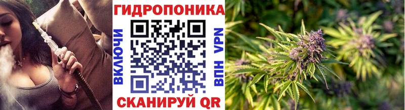 Конопля Amnesia  сколько стоит  мориарти Telegram  Стрежевой 